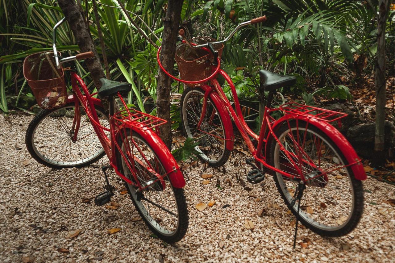 Casa Coyote Tulum Hotel Exterior photo